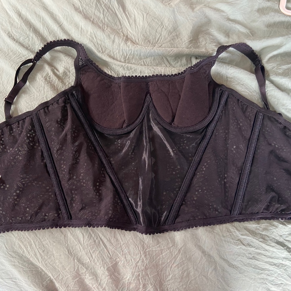 Felina Lingerie Size 36C - Picture 6 of 10